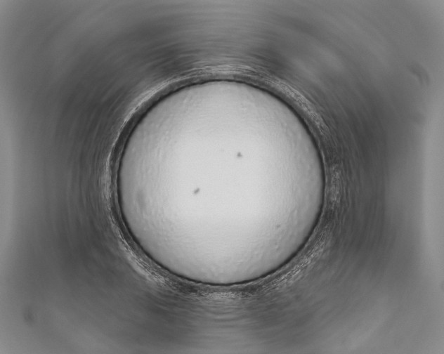 X0000110981031200907101405