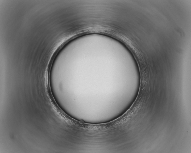 X0000110981032200907101405