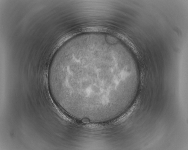 X0000110981033200907101405