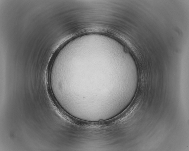 X0000110981034200907101405