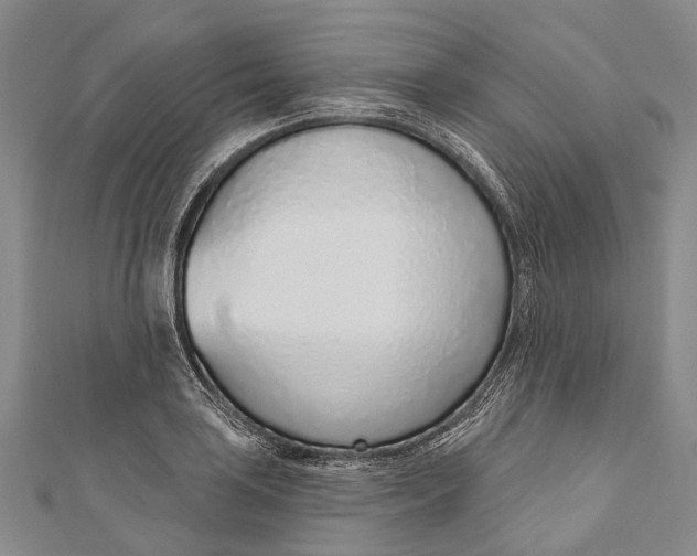 X0000110981035200907101405