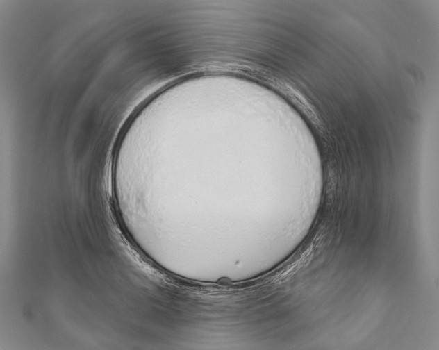 X0000110981036200907101405