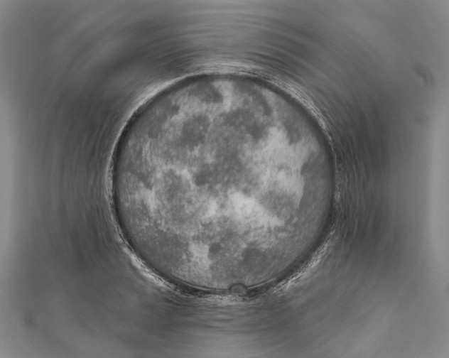 X0000110981037200907101405