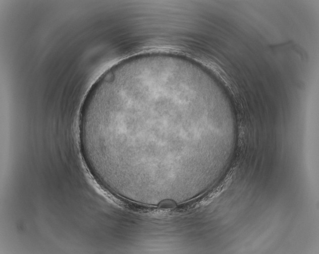 X0000110981038200907101405