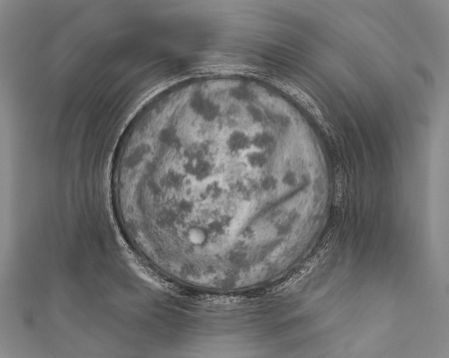 X0000110981039200907101405