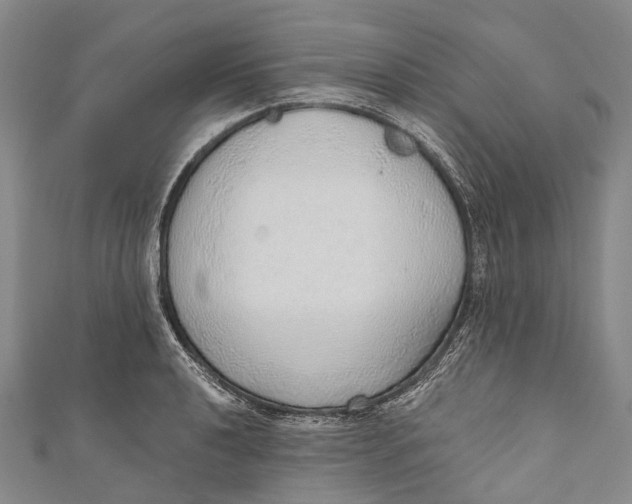 X0000110981040200907101405