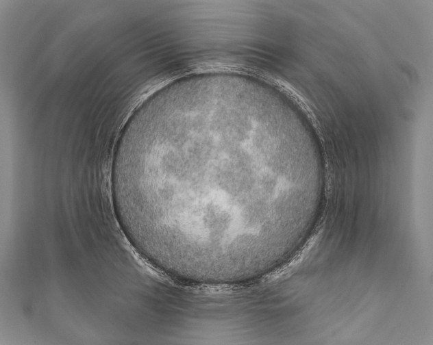 X0000110981041200907101405