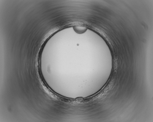 X0000110981042200907101405