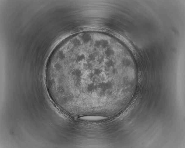 X0000110981043200907101405