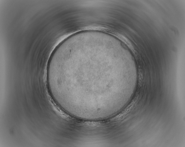 X0000110981044200907101405