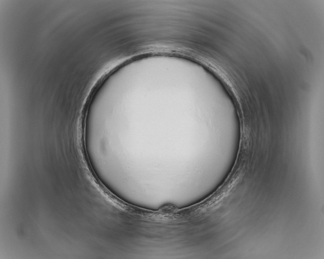 X0000110981045200907101406