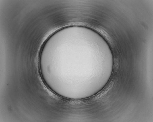 X0000110981046200907101406