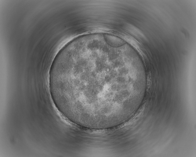 X0000110981047200907101406