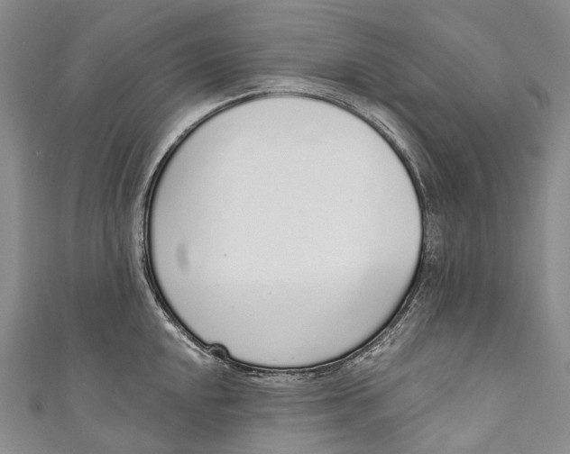 X0000110981048200907101406