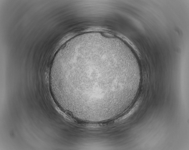 X0000110981049200907101406