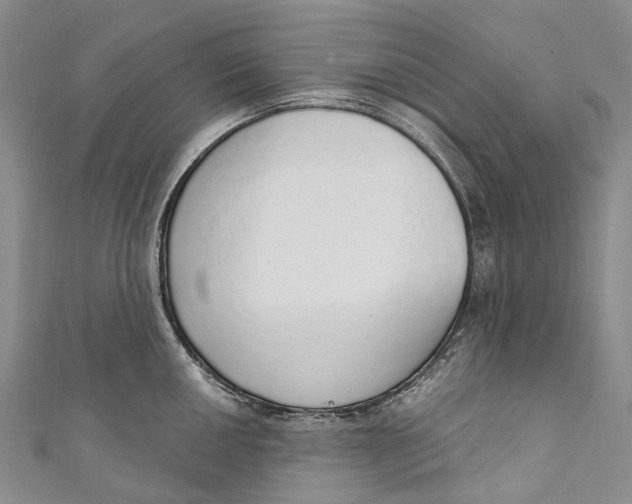 X0000110981050200907101406