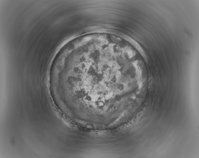 X0000110981051200907101406