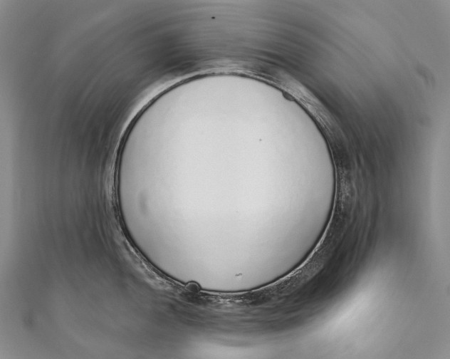 X0000110981052200907101406