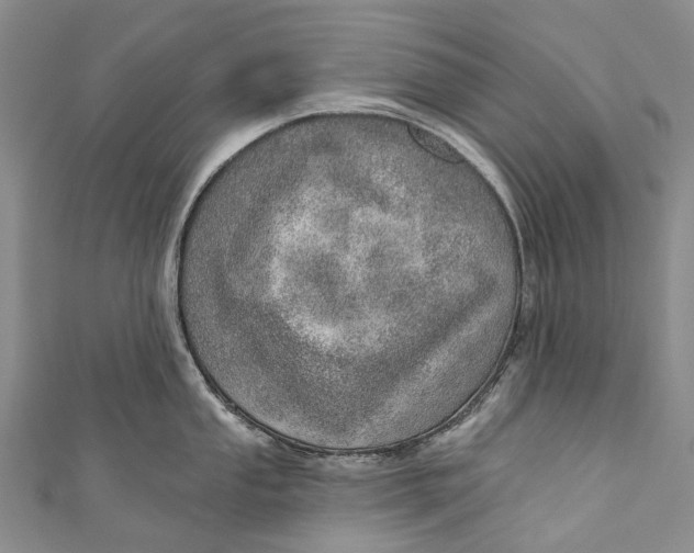 X0000110981053200907101406