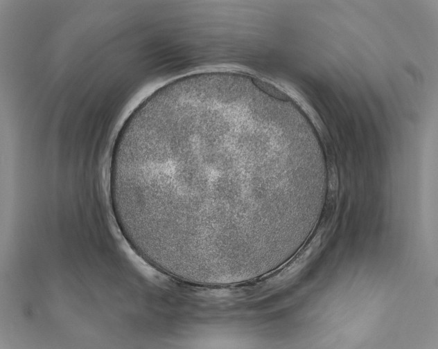 X0000110981054200907101406