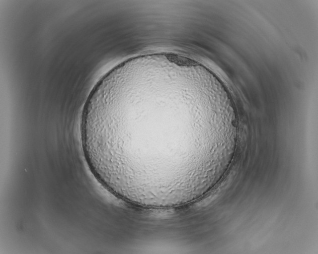 X0000110981055200907101406