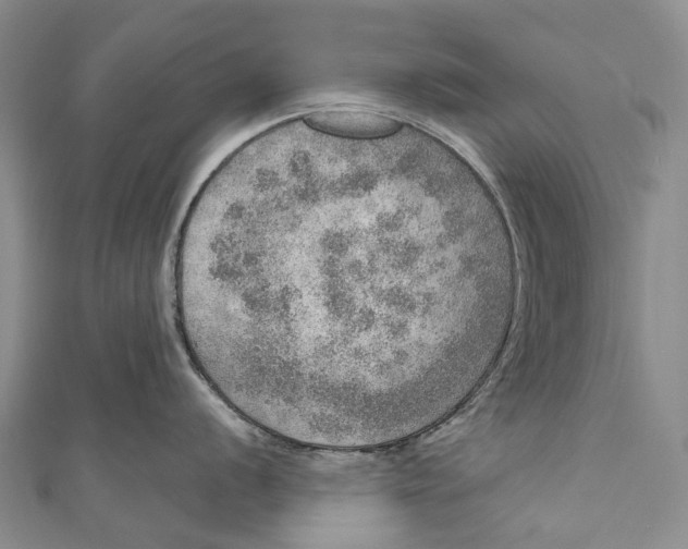 X0000110981056200907101406