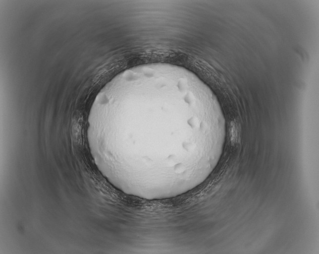 X0000110981059200907101405