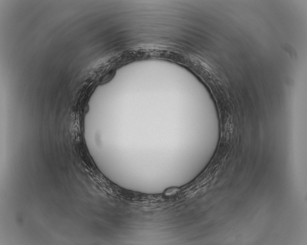 X0000110981062200907101405