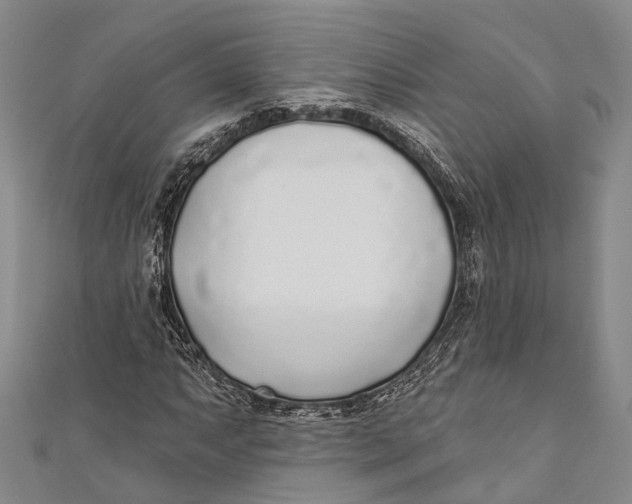 X0000110981063200907101405