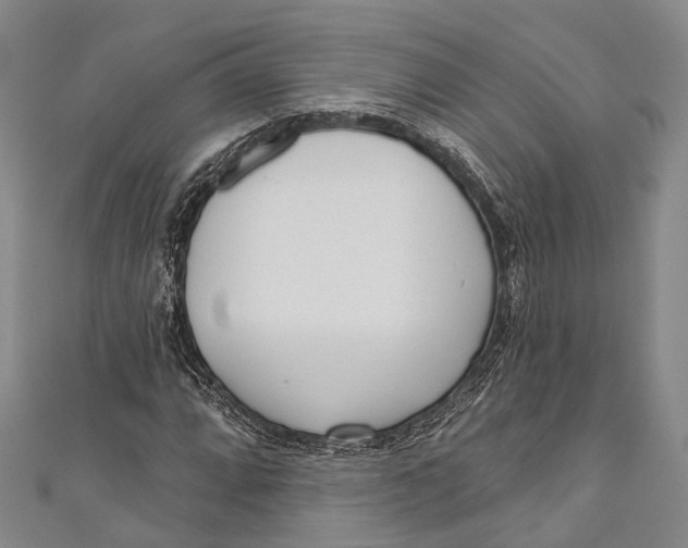 X0000110981064200907101405