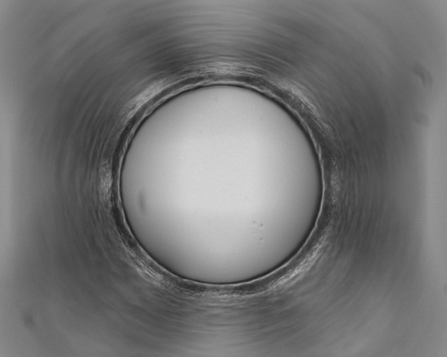 X0000110981065200907101405