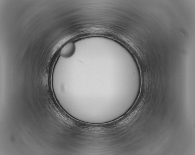 X0000110981066200907101405