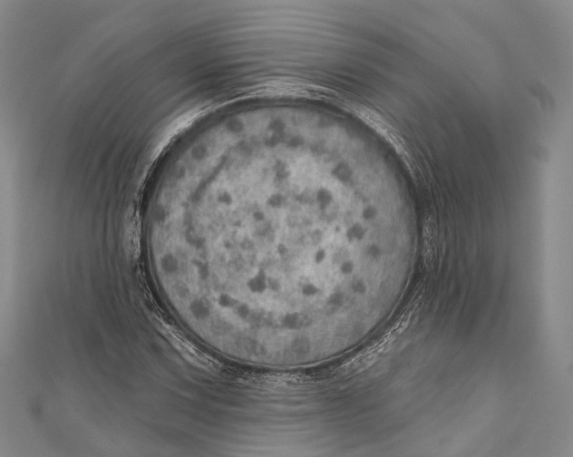 X0000110981067200907101405