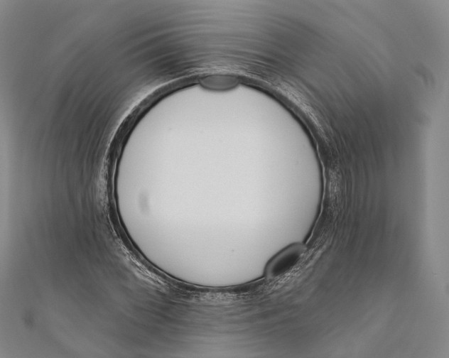 X0000110981068200907101405