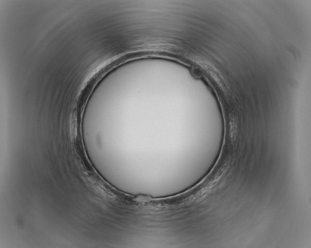 X0000110981069200907101405