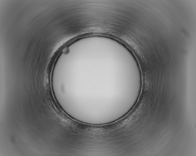 X0000110981070200907101405