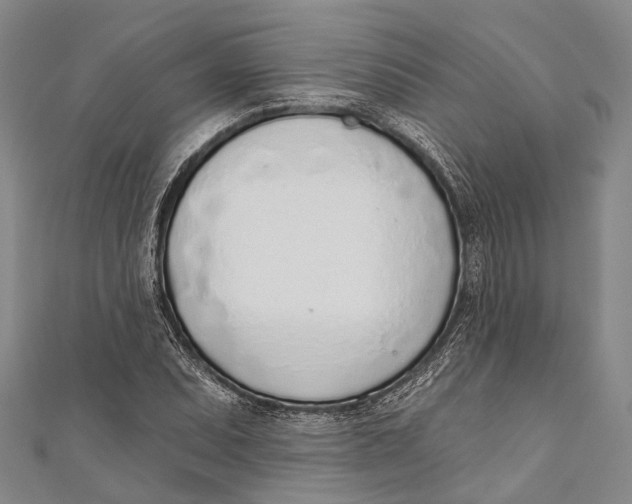 X0000110981071200907101405