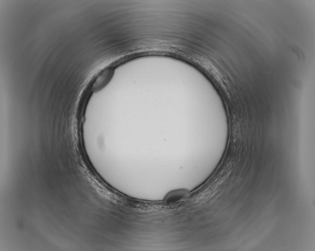 X0000110981072200907101405