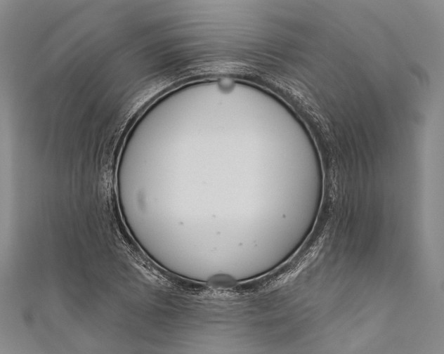 X0000110981073200907101405