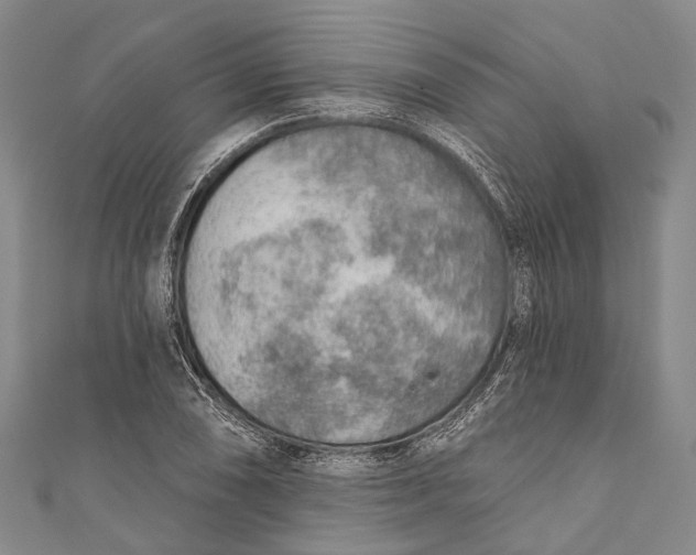 X0000110981074200907101405