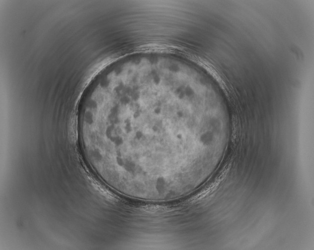 X0000110981075200907101405