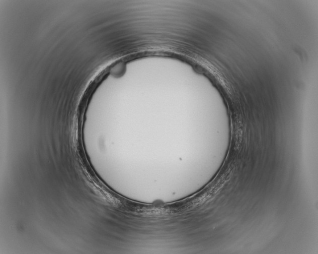 X0000110981076200907101405