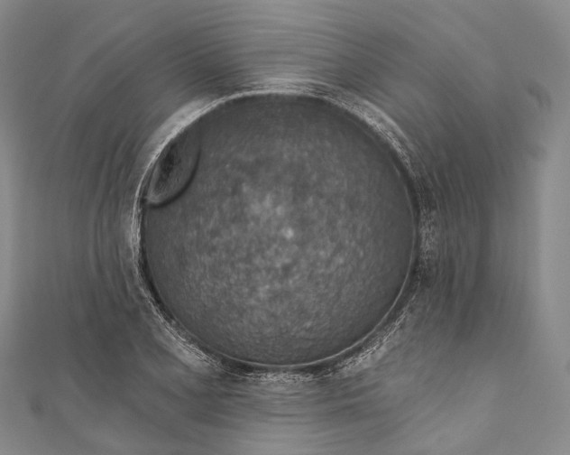 X0000110981077200907101405