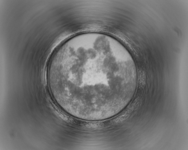 X0000110981078200907101405