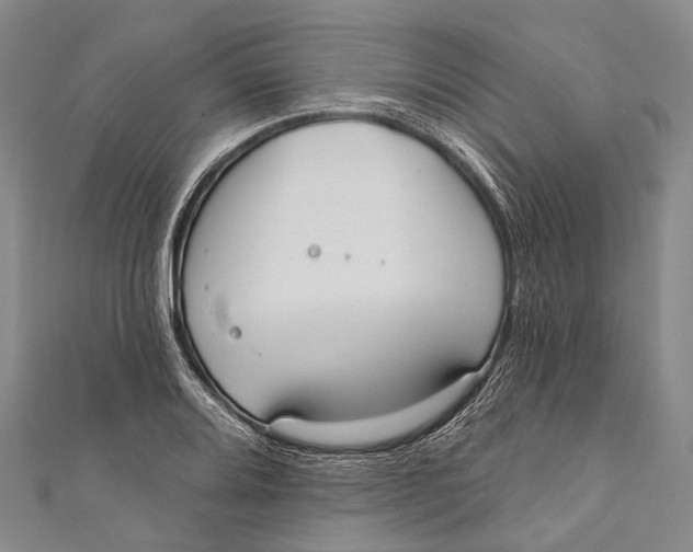 X0000110981080200907101405