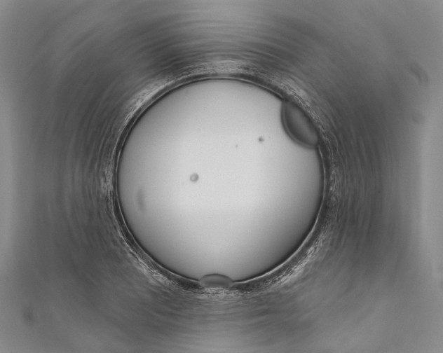 X0000110981081200907101405