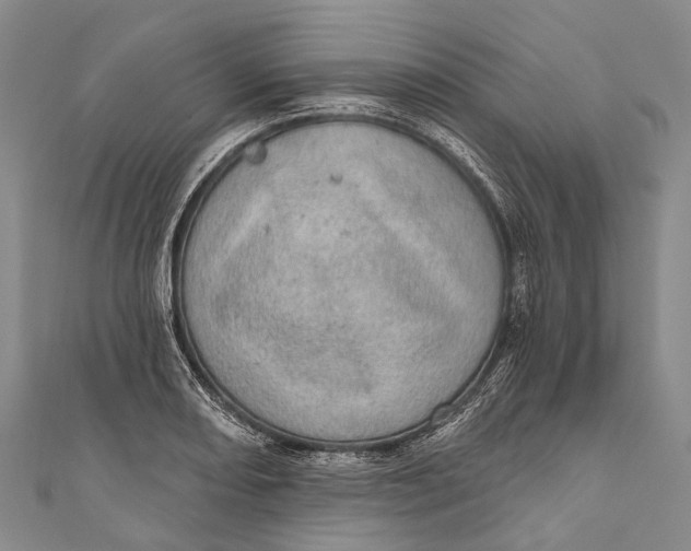 X0000110981082200907101405