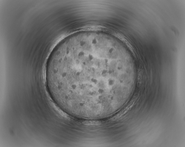 X0000110981083200907101405