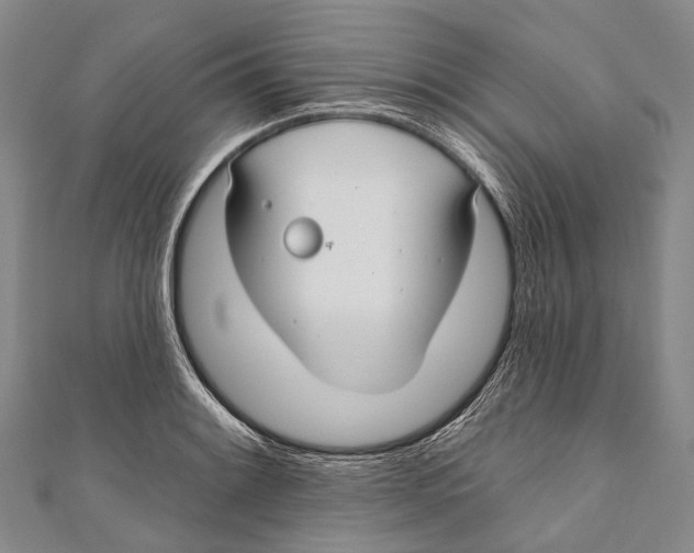 X0000110981084200907101405