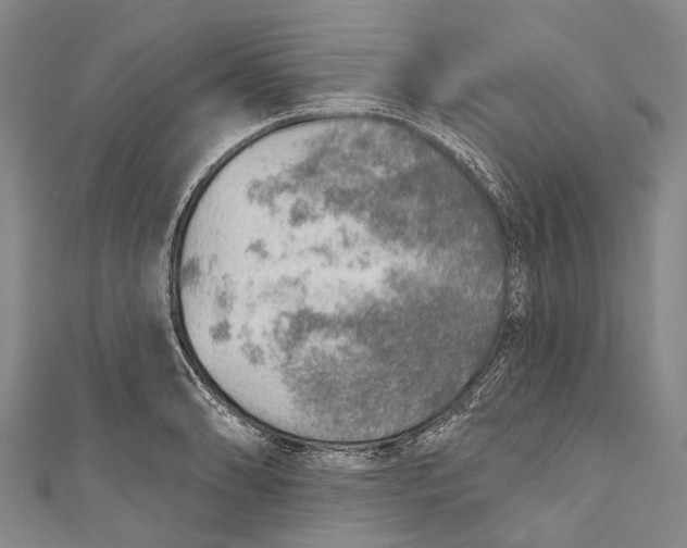 X0000110981086200907101405